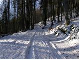 Tržič - Lešanska planina